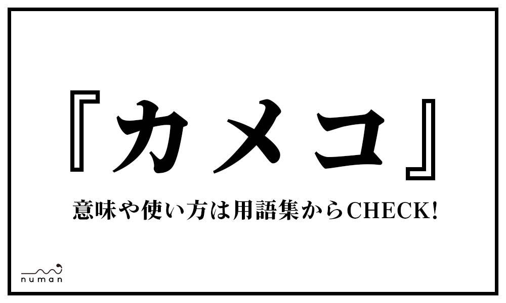 カメコ かめこ とは 意味 用語集 Numan カメコ かめこ とは 意味 用語集 Numan