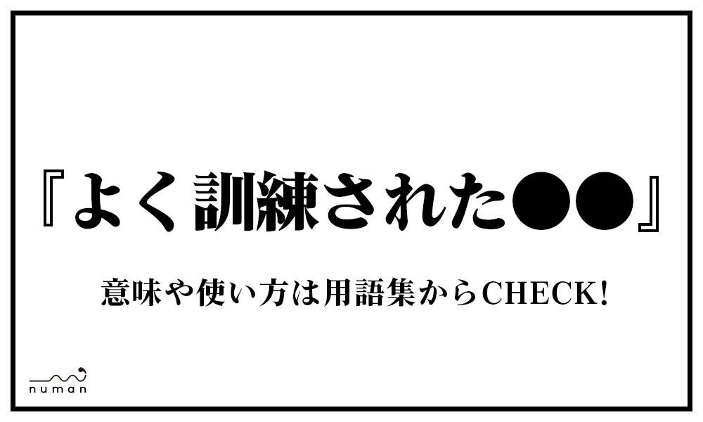 よく訓練された よくくんれんされた とは 意味 用語集 Numan