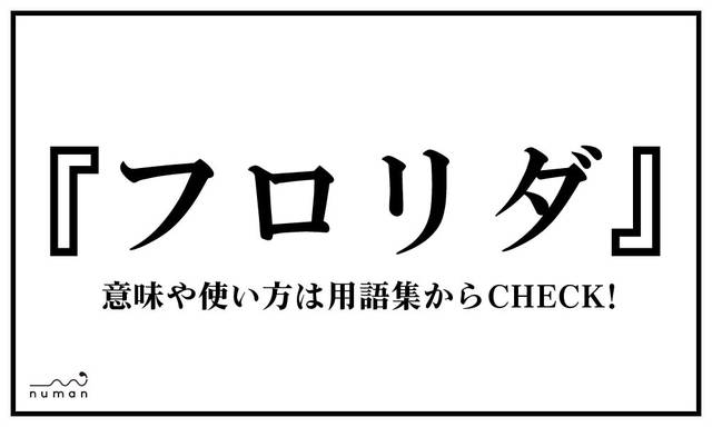 フロリダ ふろりだ とは 意味 用語集 Numan