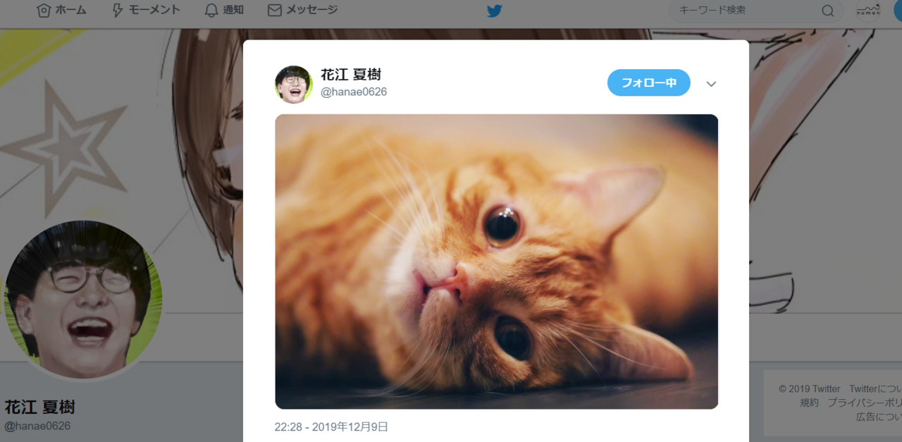 花江夏樹、公式Twitterが“猫bot”になる。猫画像あげすぎの罪にファン「最高じゃないか」