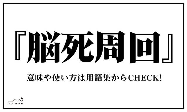 脳死周回 のうししゅうかい とは 意味 用語集 Numan