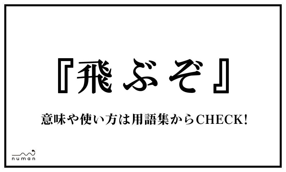 飛ぶぞ とぶぞ とは 意味 用語集 Numan