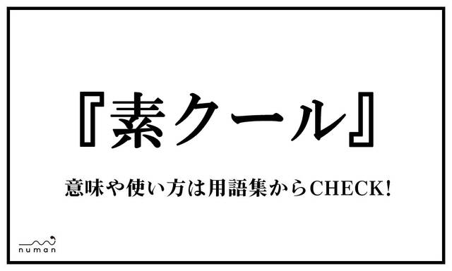 素クール すくーる とは 意味 用語集 Numan