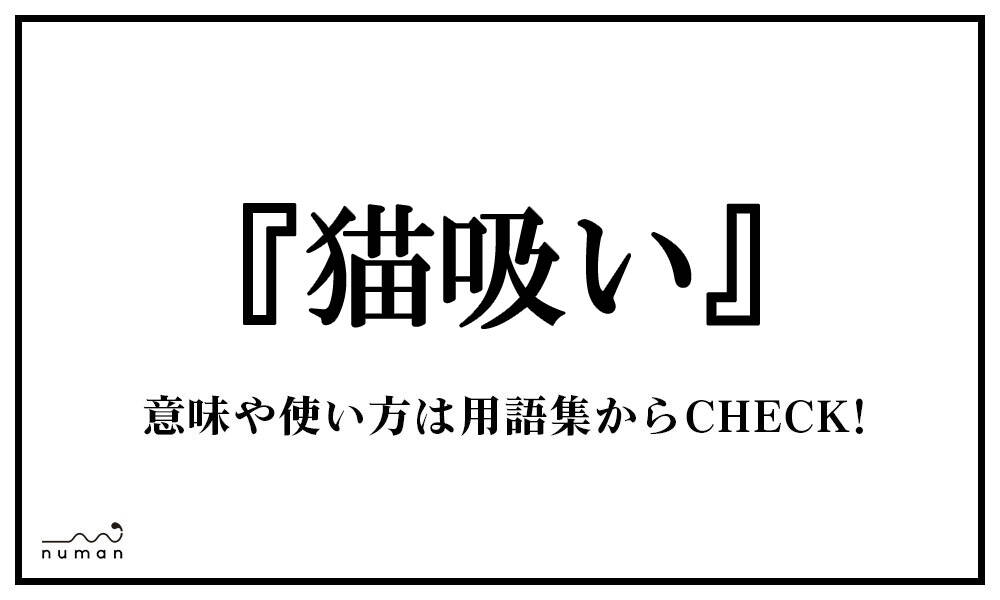 猫吸い ねこすい とは 意味 用語集 Numan