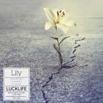 ラックライフ「Lily」1