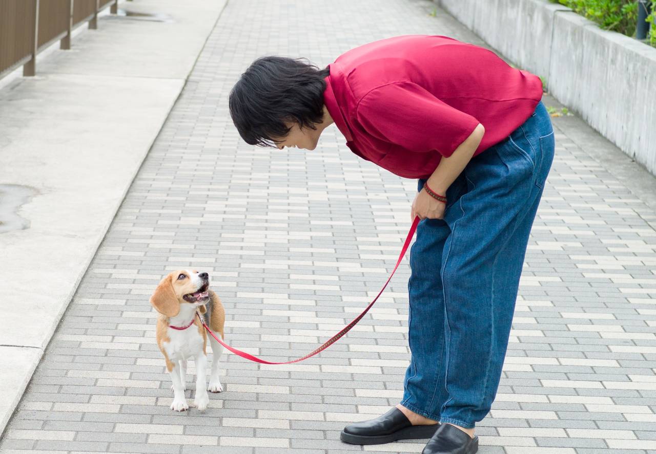 黒羽麻璃央がビーグル犬とお散歩ロケ 月刊tvガイド 単独初登場 の画像 Page 2 Numan