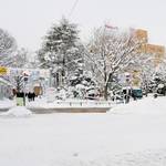 『あんスタ』雪像が可愛かった♪  "さっぽろ雪まつり"フォトレポート写真17