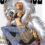 ONE PIECE LOG COLLECTION "NAMI" [DVD]画像