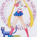DVD『美少女戦士セーラームーン』Vol.1  画像