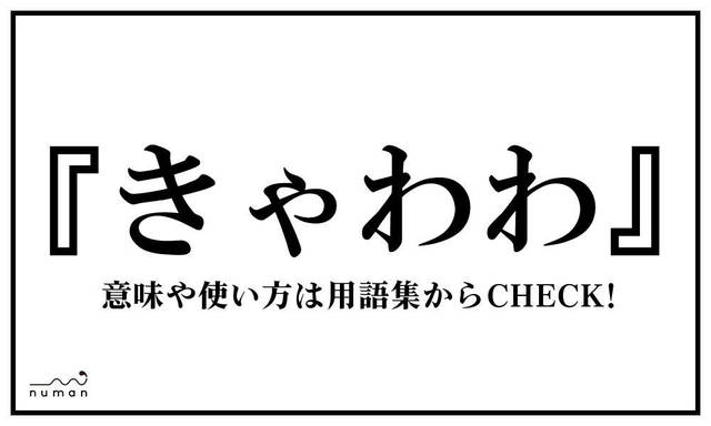 ぐう ぐう ぐう聖 ぐうせい ぐうかわとは 意味 用語集 Numan